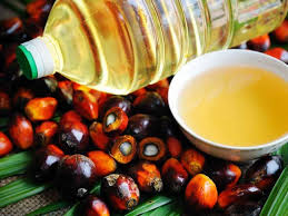 Blog image for Palm Oil Futures 