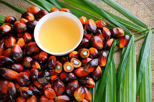 Blog image for Palm oil futures 